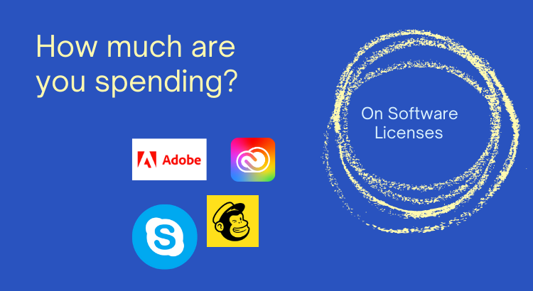software license cost