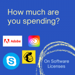 Software license cost